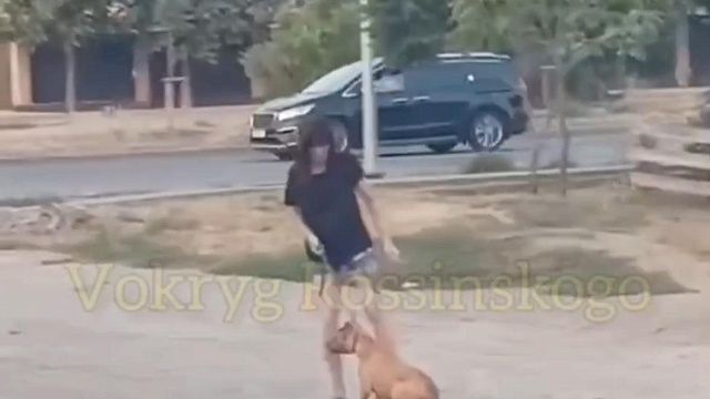 Два бойцовских пса напали на пенсионера в Краснодаре