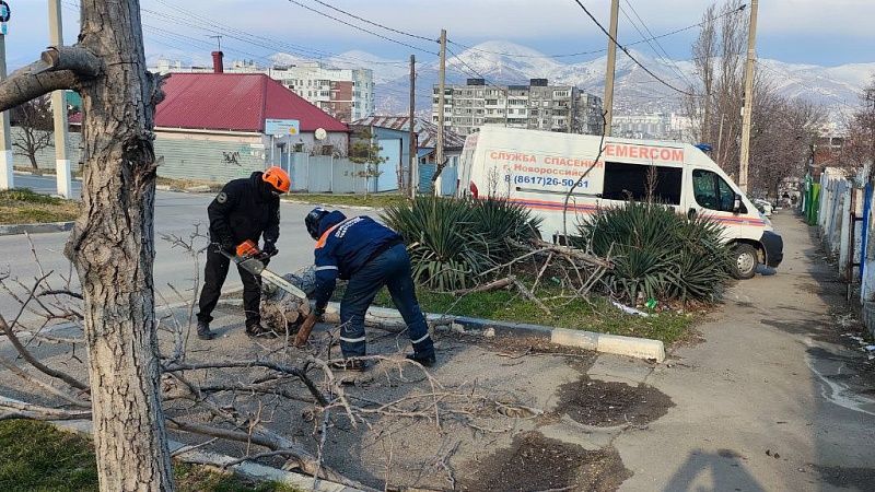 Кравченко рассказал о страшных последствиях продолжающегося норд-оста