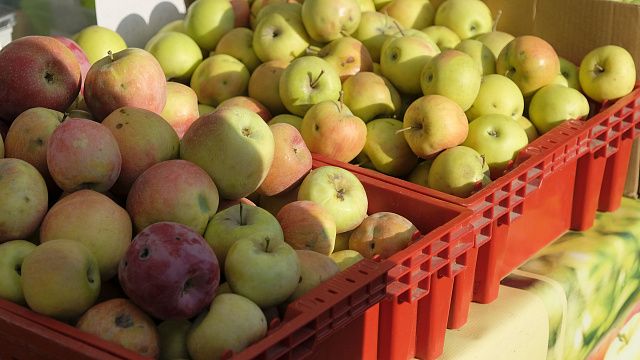 Медовый, Яблочный и Ореховый Спас: когда отмечают и зачем освящают продукты