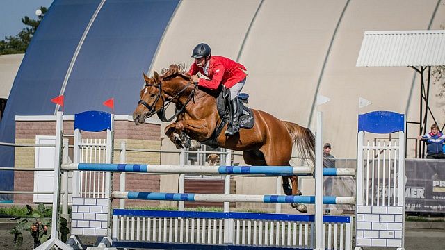 На всероссийских соревнованиях по конному спорту кубанцы завоевали 14 медалей. Фото: пресс-служба администрации Краснодарского края