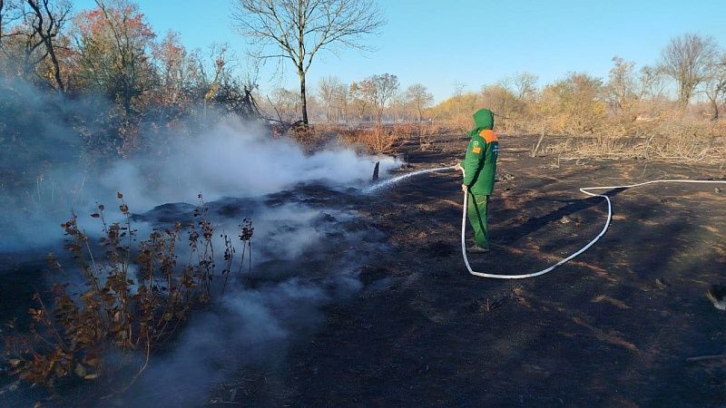 Почти сутки ушли на ликвидацию крупного лесного пожара на Кубани