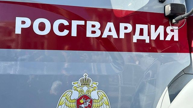 Благодаря видеокамерам в Сочи сотрудники Росгвардии задержали угонщика