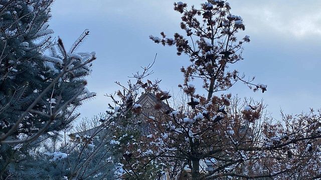 Фото: телеканал «Краснодар»