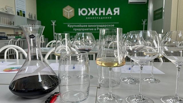 Фото: телеканал «Краснодар»