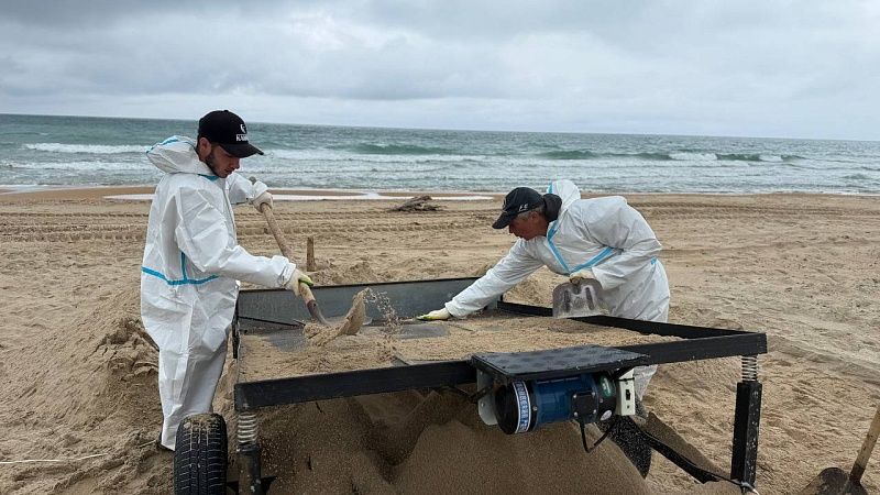 Более 161 тысячи тонн замазученного грунта вывезли с пляжей Анапы и Темрюка 