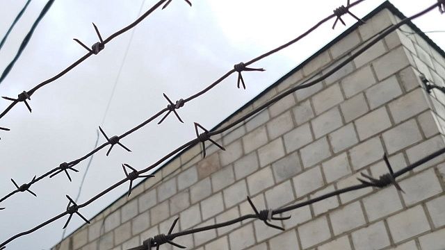 Краснодарца посадили на 9 лет за попытку вступить в террористическую организацию