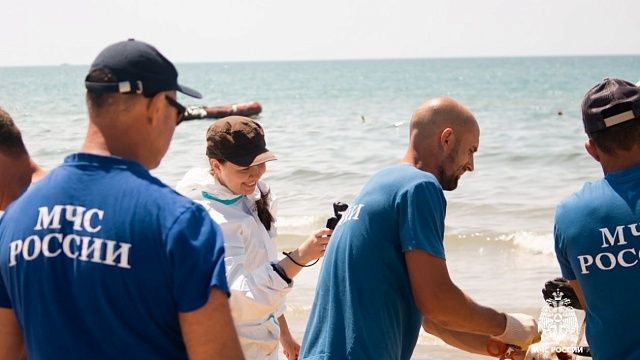 Фильм о катастрофе танкеров «Волгонефть» в Черном море сняли на Кубани