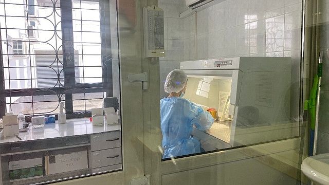 Впервые в мире искусственную человеческую кожу вырастили ученые Австралии 