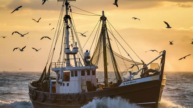 Российский моряк выжил после кораблекрушения у побережья Мавритании