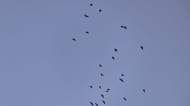 Фото: телеканал «Краснодар»