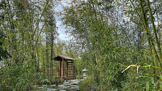 Японский сад в парке «Краснодар»: очередь на входе, строгие правила и первые эмоции от увиденного Фото: Телеканал «Краснодар»