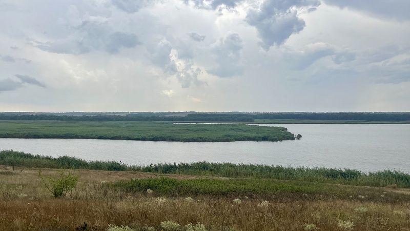 Степная зона на Кубани получит статус особо охраняемой природной территории