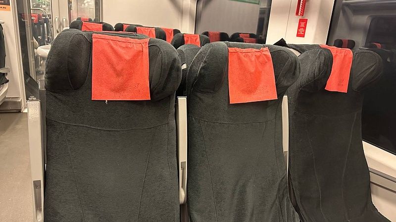 Ряд электричек задержались из-за упавшего дерева в Петербурге 