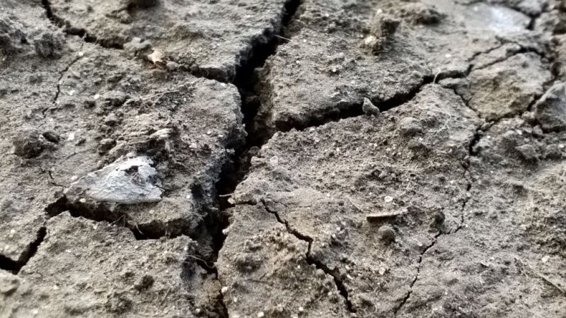 Толчки до 5 баллов почувствовали жители Сахалина 