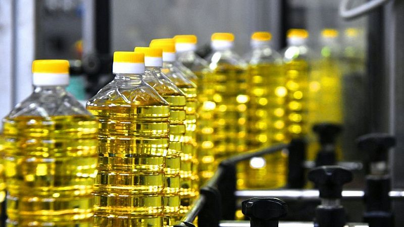 Кубанские производители растительного масла получат 42 млн рублей на модернизацию производств