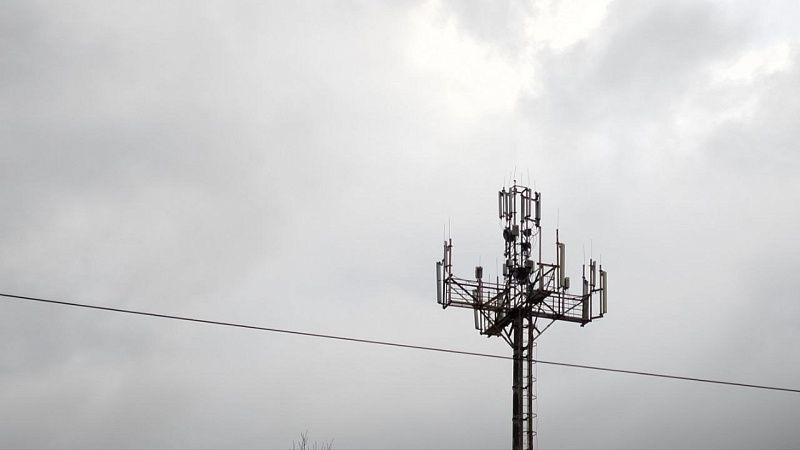 Чиновница предложила гражданам при перебоях с интернетом идти на СВО