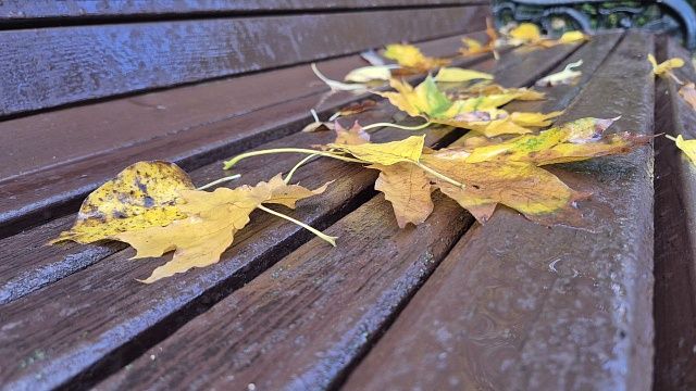 Ливни с сильными порывами ветра продолжатся 12 октября на Кубани