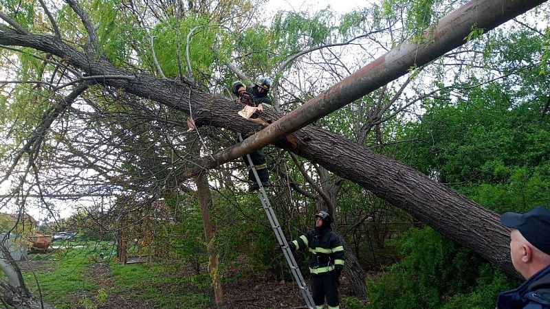 Спасатели потушили пожар на парковке и отработали еще 69 заявок в Краснодаре