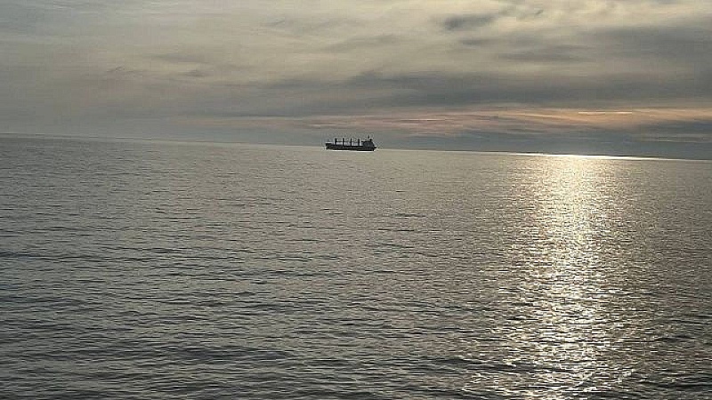 Обслуживавшая Третий Рейх компания стала терять сухогрузы под Одессой