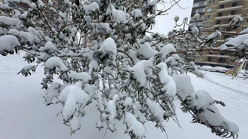 Режим повышенной готовности из-за непогоды объявлен в Новороссийске