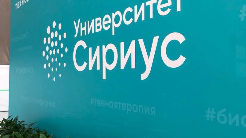 Учёные «Сириуса» создадут систему предупреждения землетрясений