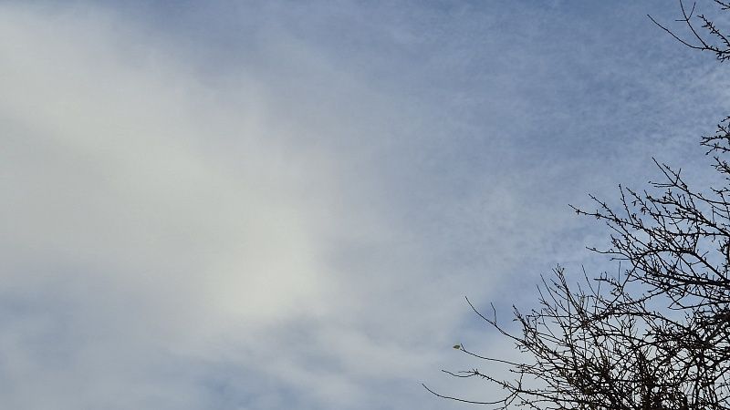 Обломки БПЛА обнаружили в станице Пластуновская на Кубани