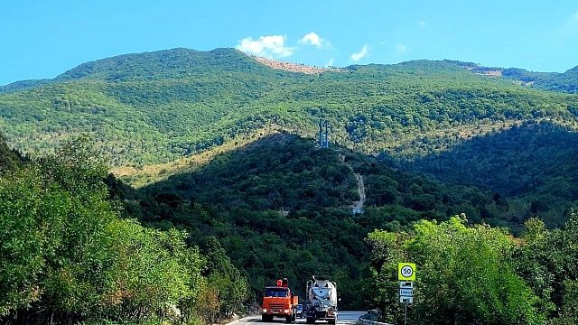 В лесах Новороссийска заметили медведя