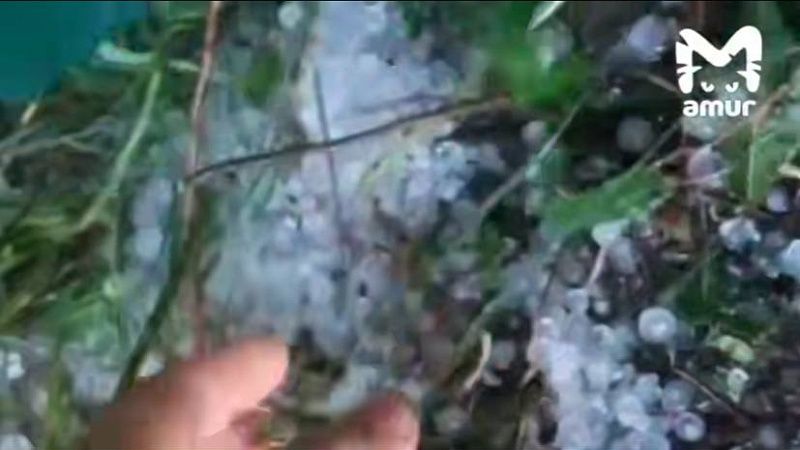 Град размером с крупную горошину «расстрелял» жителей Хабаровска