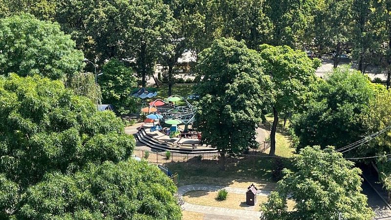 Кракен завис вместе с людьми в парке в Москве