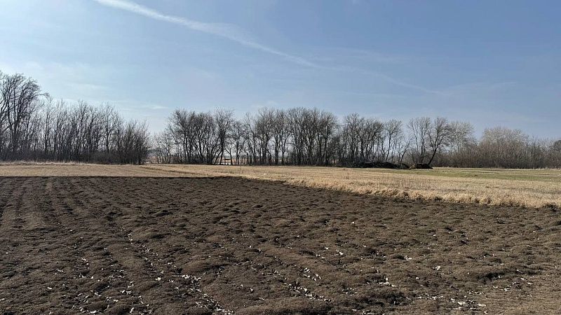 Частные огороды затопило после удара ВСУ по плотине в Белгородской области 