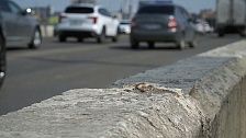 Mash: покупатели первой Volga K40 не смогли уехать из салона из-за ее поломки