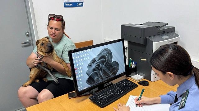 За полгода 361 питомец вылетел за границу из Сочи