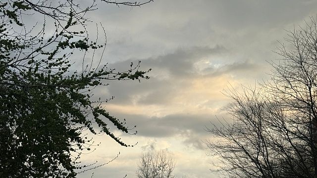 О ночных заморозках предупредили жителей и гостей Кубани