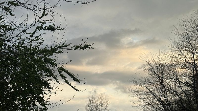 О ночных заморозках предупредили жителей и гостей Кубани