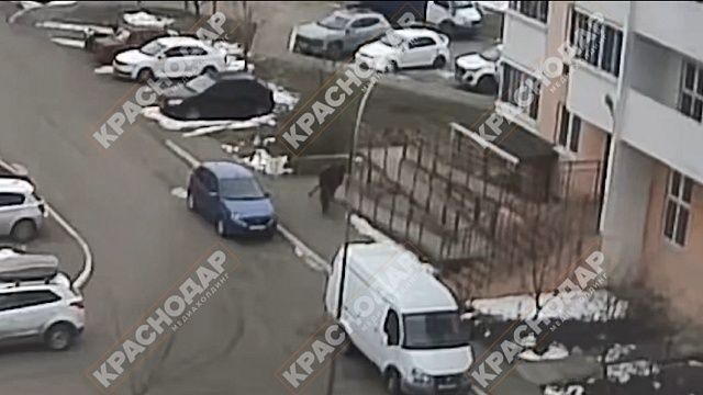 Появилось видео, как тело мигранта-подростка бросили на лавочку в Краснодаре