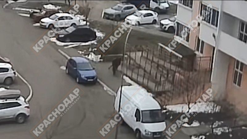 Появилось видео, как тело мигранта-подростка бросили на лавочку в Краснодаре