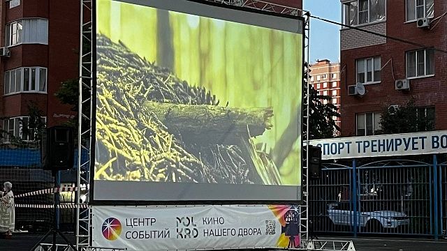 Фото: телеканал «Краснодар»