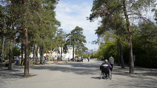 Сквер им. Гатова – лидер: промежуточные результаты голосования за благоустройство зеленых зон в 2024 году