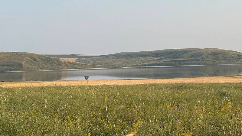 Иностранцы на лошадях развлеклись с тушей козла необычным способом в Подмосковье