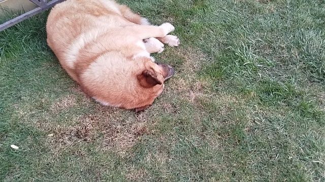 Фото: телеканал «Краснодар»