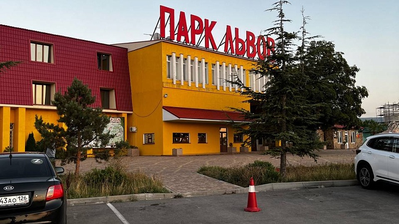 Зубков вспомнил, о чем думал в момент нападения льва в «Тайгане»