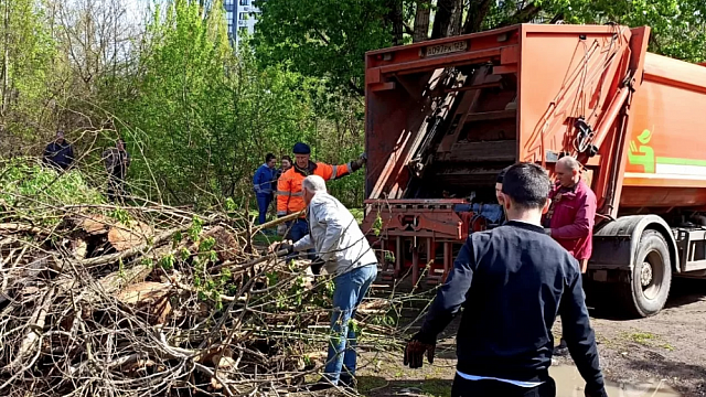 На Острове Масленицы в Краснодаре убрали 42 кубометра пластика, валежника и другого мусора