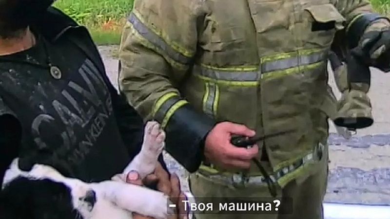 Водитель и собака спаслись из горящего грузовика, ехавшего с Кубани в ЕАО