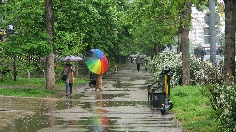 Дождь с грозой ожидаются 9 апреля в Краснодаре