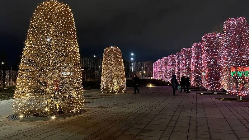 Турпоток на новогодние праздники вырастет на 53% в Краснодаре