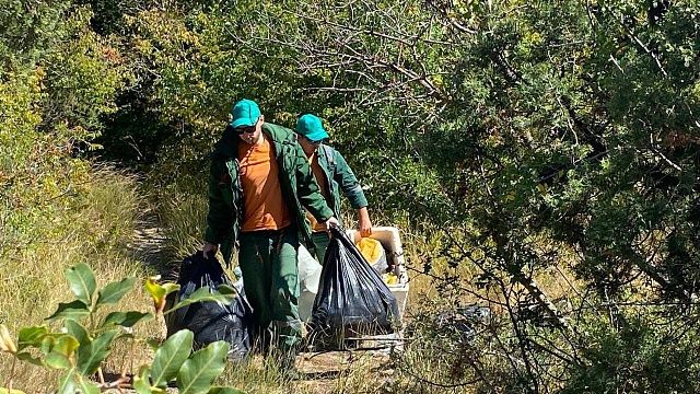 Экологическая акция «Сохраним лес» стартовала на Кубани