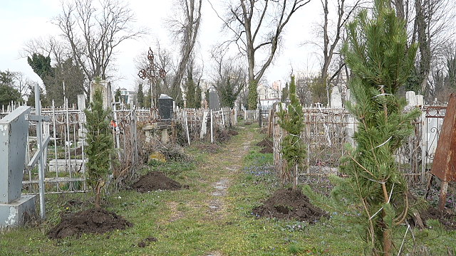 Реконструкцию Всесвятского кладбища завершат до конца 2024 года. Фото: телеканал «Краснодар»