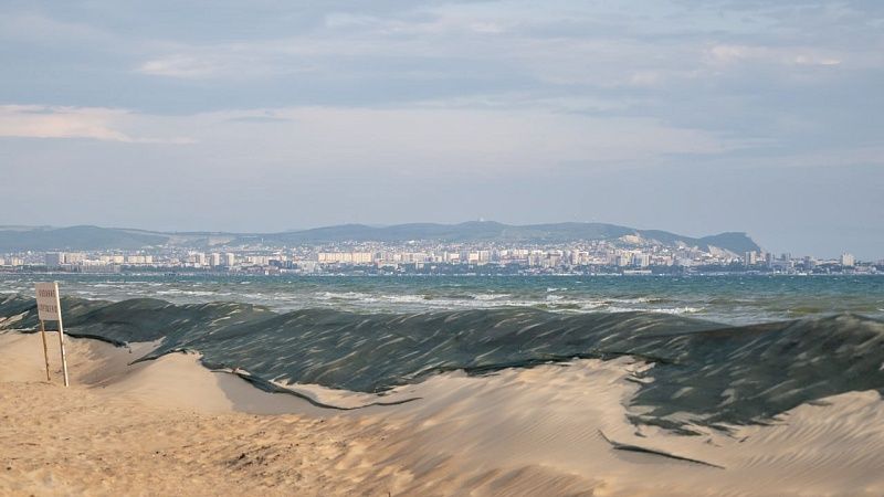 Новую технологию очистки песка от мазута бактериями протестируют в Анапе