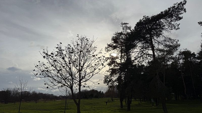 Два человека пострадали после падения обломков БПЛА в Абинском районе