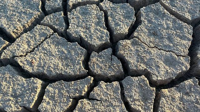 Очевидцы землетрясений в Мьянме и Бангкоке поделились эмоциями от увиденного